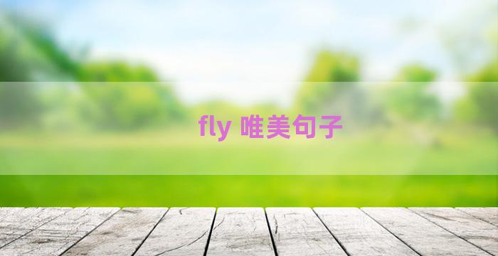 fly 唯美句子